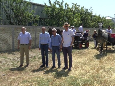 Tradicionalna manifestacija "Žetveni dan" u Čurugu