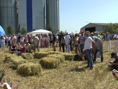 Tradicionalna manifestacija "Žetveni dan" u Čurugu