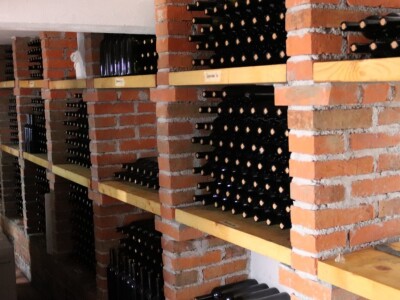 Tradicionalna rezidba vinograda na Sveti Trifun