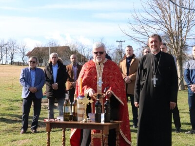 Tradicionalna rezidba vinograda na Sveti Trifun