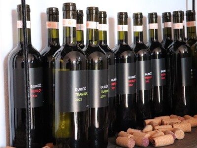 Tradicionalna rezidba vinograda na Sveti Trifun