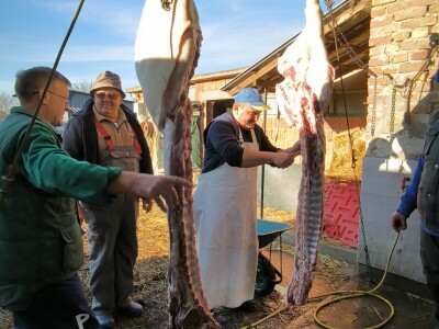 Tradicionalna slavonska svinjokolja