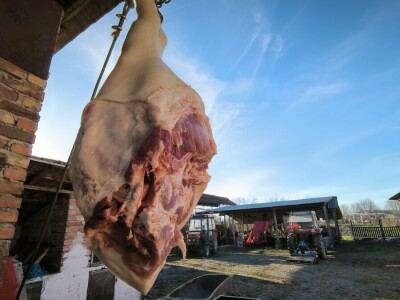 Tradicionalna slavonska svinjokolja