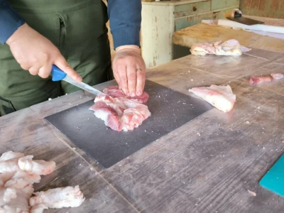 Tradicionalna slavonska svinjokolja