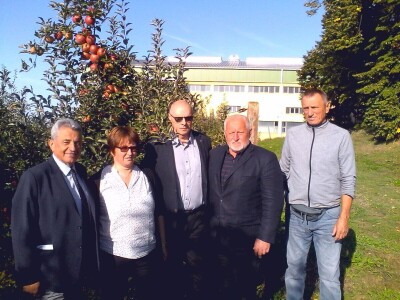 Tradicionalne sorte voća