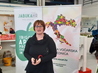 Tradicionalne sorte voća