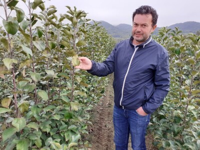 Tradicionalne sorte voća