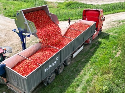 OPG Bošković Cerna