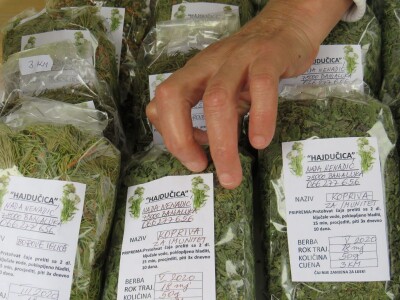 Travarka Nada Nenadić