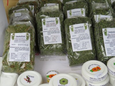 Travarka Nada Nenadić