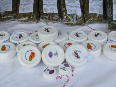 Travarka Nada Nenadić