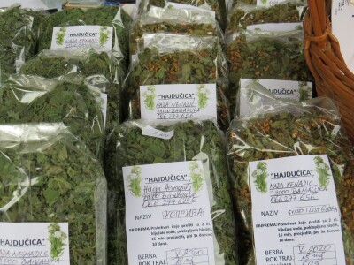 Travarka Nada Nenadić