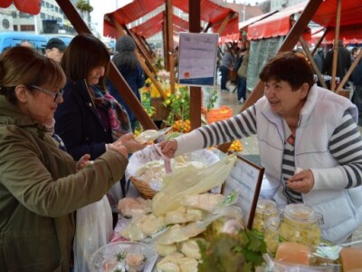 Traži se šampionski sir  Ike Validžić iz Oklaja kod Drniša