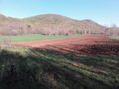 Treba li nam u svakom selu Milena Plećaš