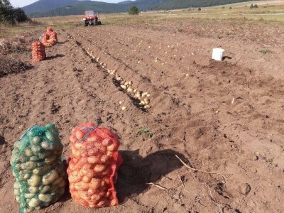 Treba li nam u svakom selu Milena Plećaš