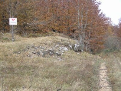 Treba li nam u svakom selu Milena Plećaš