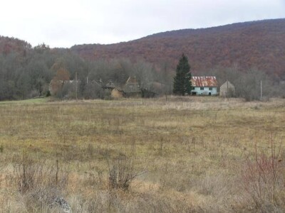 Treba li nam u svakom selu Milena Plećaš