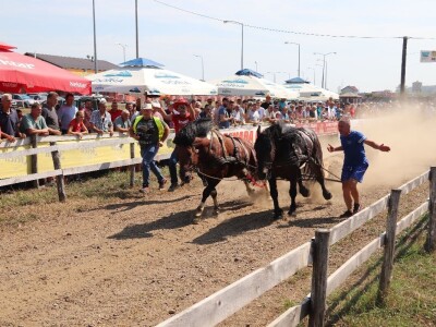 Treća Štraparijada u Derventi