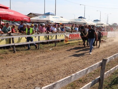 Treća Štraparijada u Derventi