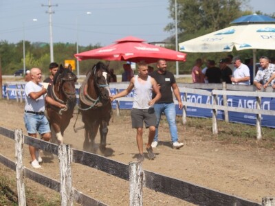 Treća Štraparijada u Derventi