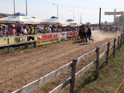 Treća Štraparijada u Derventi