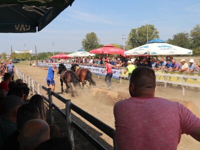 Treća Štraparijada u Derventi