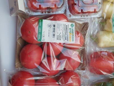 Treći "Organik fest" u Banjoj Luci Treći "Organik fest" u Banjoj Luci