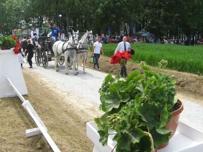 Treći sabor voćara u Gruži