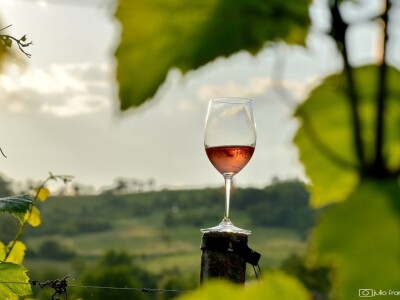 Treći "Zalazak u vinogradu"