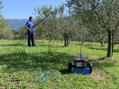 Tresač maslina - Entrada