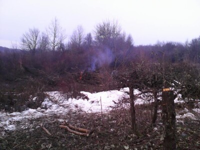 Mnogo rada na krčenju zapuštene zemlje Mnogo rada na krčenju zapuštene zemlje