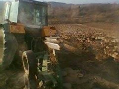 Nakon krčenja oranje Nakon krčenja oranje