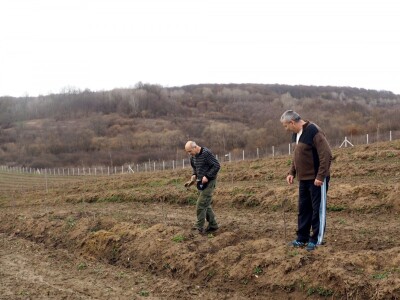 Šire površine pod voćem Šire površine pod voćem