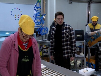 Tri generacije Tanasića proizvode gljive