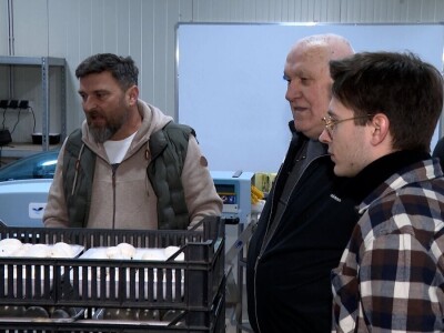 Tri generacije Tanasića proizvode gljive