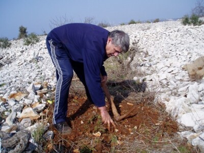 Tri godine radnog iskustva u poljoprivredi jednako su vrijedni kao potvrda o stručnoj osposobljenosti