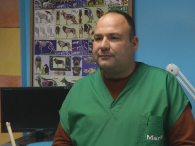 Trihineloza je neizlečiva