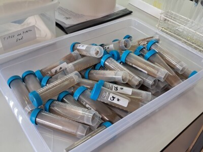 Trin Lab - jedini laboratorij za analizu tla u Vukovarsko-srijemskoj županiji