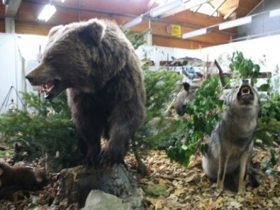 SALORI 2014. – Sajam lova, ribolova i turizma