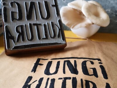 Trojac iz Tuzle pokrenuo proizvodnju gljive bukovače Trojac iz Tuzle pokrenuo proizvodnju gljive bukovače