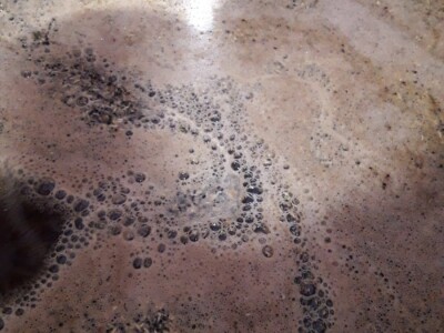 Trojansko pivo  - craft pivo s identitom iz Gabela Polja Trojansko pivo  - craft pivo s identitom iz Gabela Polja