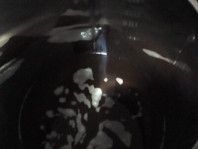 Trojansko pivo  - craft pivo s identitom iz Gabela Polja Trojansko pivo  - craft pivo s identitom iz Gabela Polja