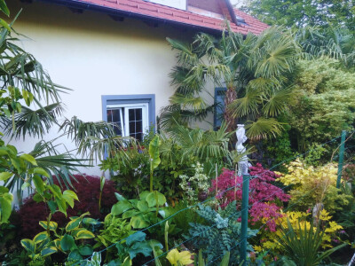 Tropski vrt podno Medvednice