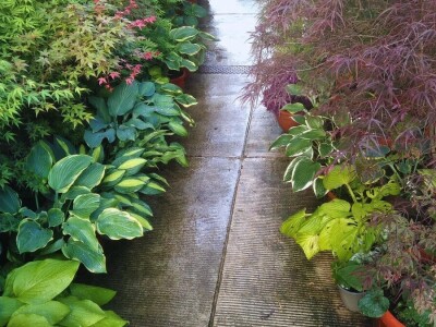 Tropski vrt podno Medvednice