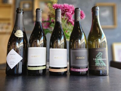 Trs - Udruga vinara  Labinštine