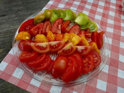Rajčice