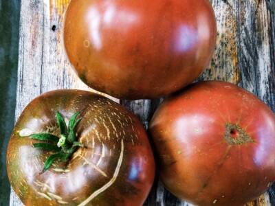 Niko ne zna zašto je Nadin paradajz žut, ni koju dinju uzgajaju