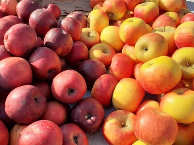 Tržište  jabuka