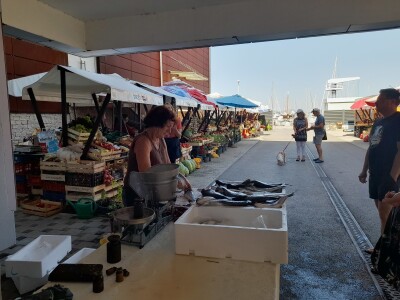 Tržnica u Biogradu na Moru Tržnica u Biogradu na Moru