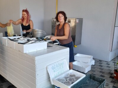 Tržnica u Biogradu na Moru Tržnica u Biogradu na Moru